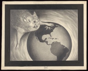 view The global spread of plague, carried by rats. Drawing by A.L. Tarter, 194-.