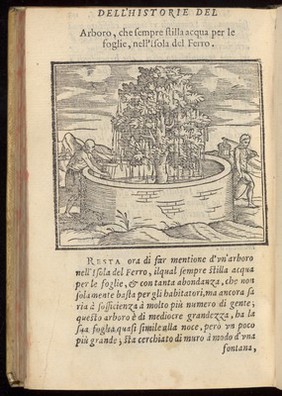 La historia del Mondo Nuovo, 1572, G. Benzoni.