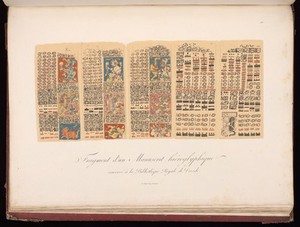 view Fragement d'un manuscript hieroglyphique