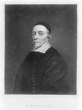 Portrait of William Harvey [1578 - 1657], surgeon