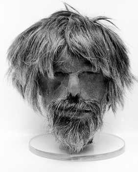 M0000158: A tsantsa, or shrunken head, on a stand