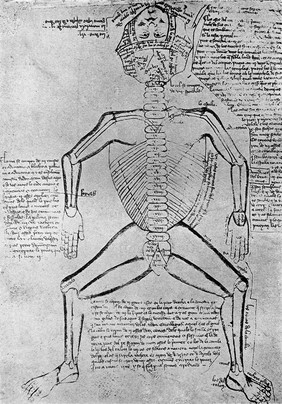 Skeleton, late 13thcentury.