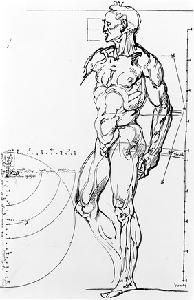 M0000414: Male figure showing proportions, from Choulant: <i>History and bibliography of anatomic illustration</i>