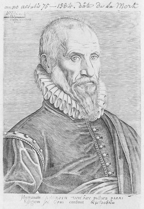 Portrait of Ambroise Pare [1510 - 1590], French surgeon