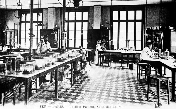 A teaching laboratory at the Institut Pasteur.