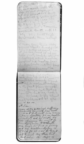 Diary of Shackleton, 'Nimrud' expedition.