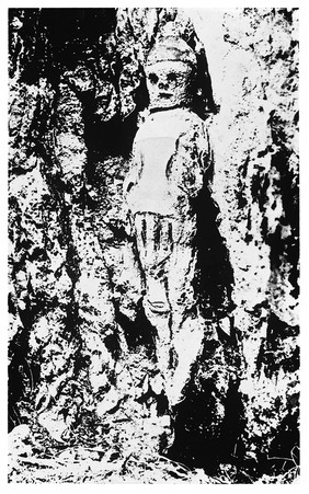 Photograph of prehistoric carving on rock colum, Jamaica.