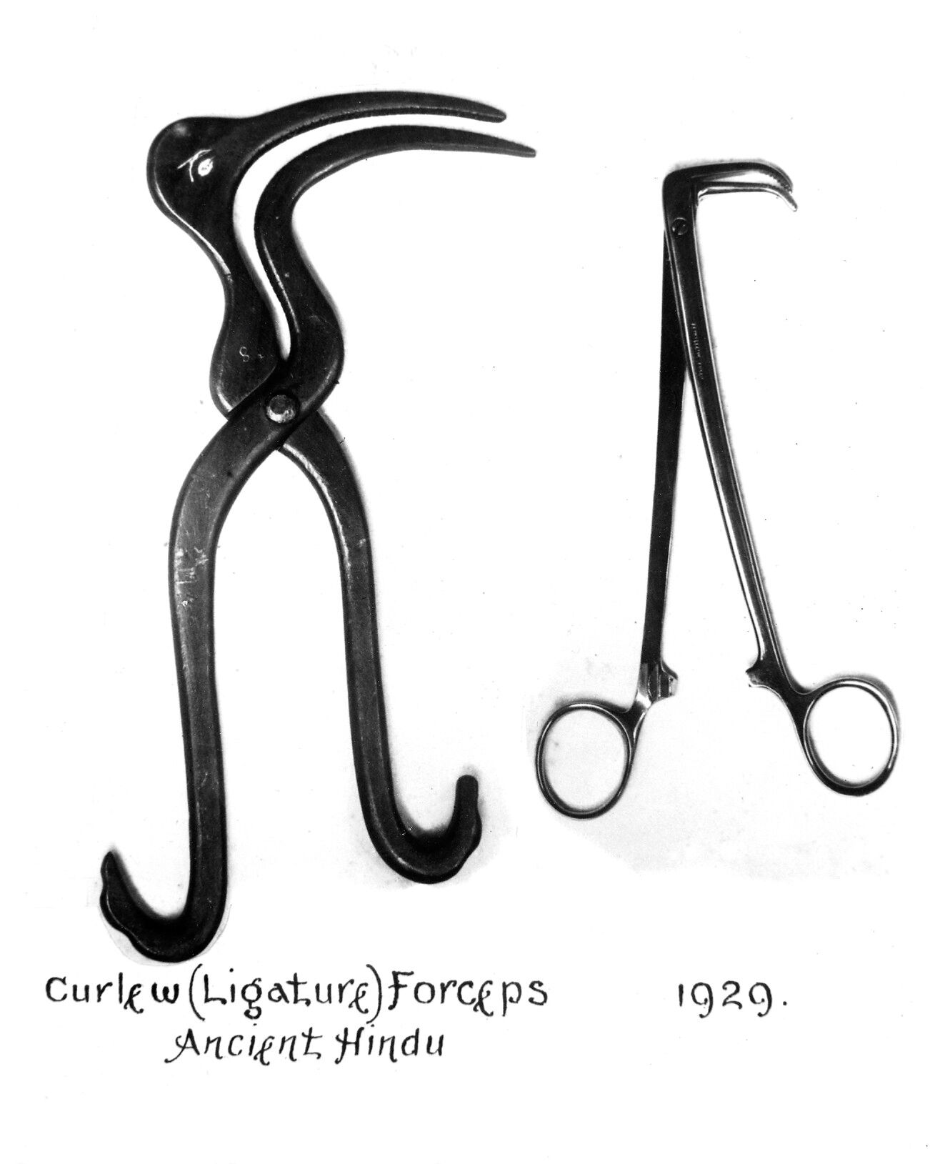 M0001240 Curlew (ligature) forceps. 1929, compared with ancient Hindu