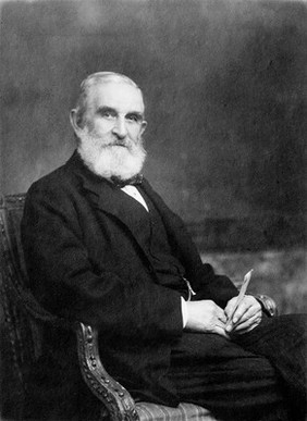 Portrait of Sir John Evans (1823-1908)