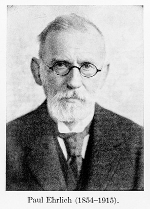 view Portrait of Paul Ehrlich (1854-1915)