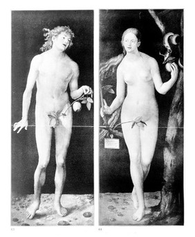 Two panels: Adam and Eve.