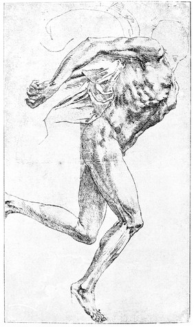 Male figure reclining by Michelangelo.