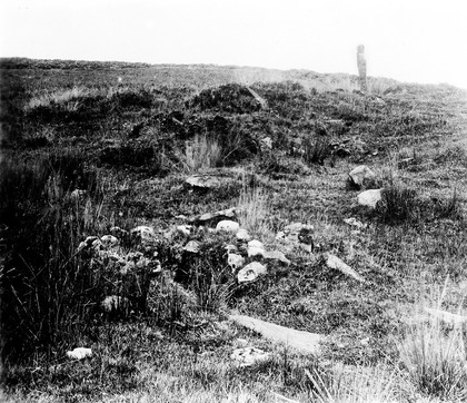 St. Maha's well, Buchanan, Stirlingshire.