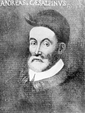 Portrait of Andrea Cesalpino (1519 - 1603), Italian physician, philosopher and botanist.