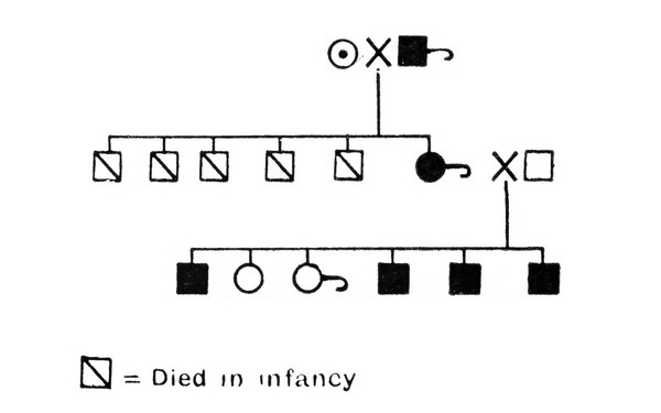 Chart, pedigree of colour blindness.