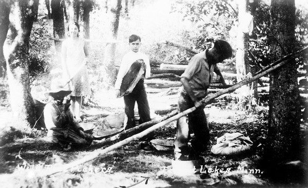 Chippewa Indians camping at Shell Lakes, Detroit Lakes, Minnesota. Wild rice packers. Group of four figures at work.