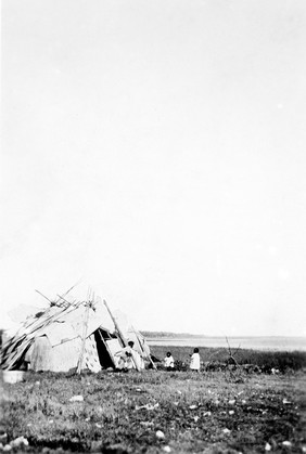 Chippewa Indians camping at Shell Lakes, Detroit Lakes, Minnesota. Three children at play outside a hut.