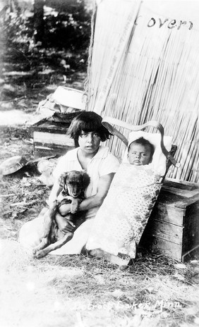 Chippewa Indians camping at Shell Lakes, Detroit Lakes, Minnesota. Indian girl and baby and dog seated outside a hut. The baby is in an Indian carrier cradle.