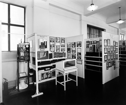 Wellcome museum, section 8, intestinal infections