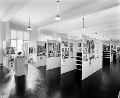 Wellcome museum, skin diseases section