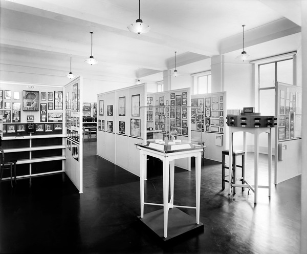 Wellcome museum, malaria cases