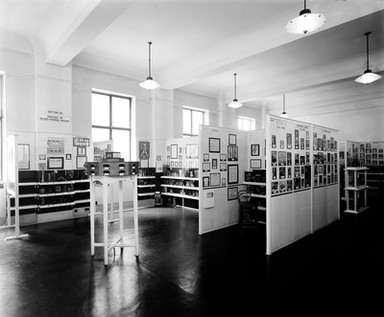 Wellcome museum, view of Leukaemia section etc...