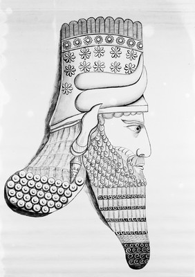 Khorsabad head from Ninevah expedition by Sir Henry Layards