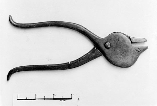 Ancient Hindu- Tiger forceps