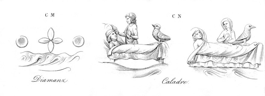 Bestiaries, "Caldre"; illustration from a book at the British Museum.