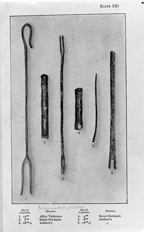 Greek and Roman Bifurcated Probes-Surgical Instruments