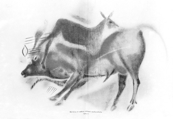 M0004800: Deer and other animals from Breuie's La Caverne d'Altamina, 1906