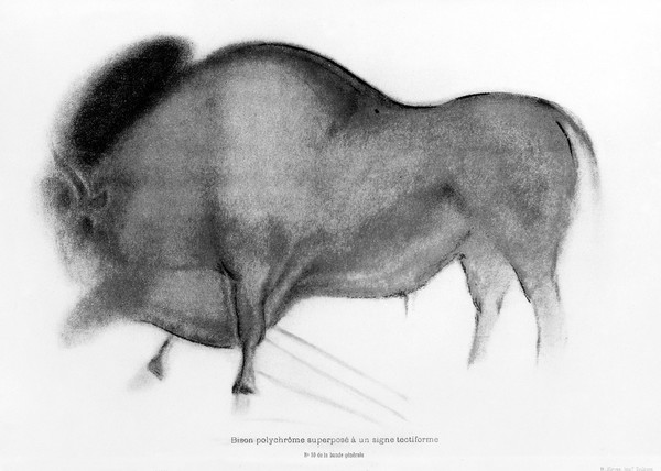 Bison polychrome from La Caverne du Font de Game, 1910