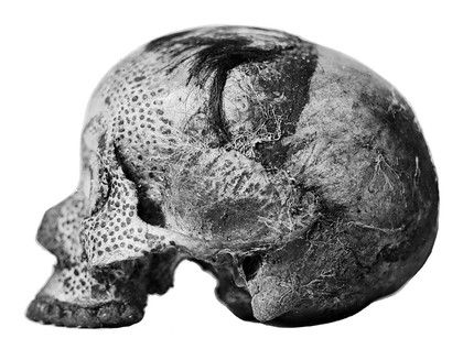 Ornamented skull (front and side views) Kongak Nagas, Assam. Photograph presented July 1937.