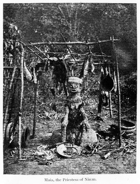 Maia, the priestess of Nimm