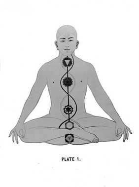 The centres or Lotuses of Yoga, in Avalon's The Serpent Power