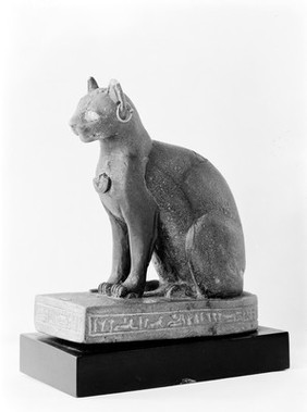 Egyptian figure of a cat. 3/4 view.