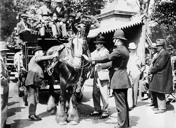 Horse brasses used as a charm.