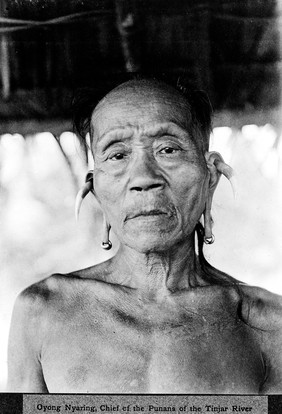 M0005534: Oyong Nyaring, Chief of the Punan Bahs, Borneo