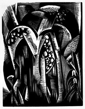 The creation of Trees and Herbs. Woodcut from Genesis, Paul Nash.