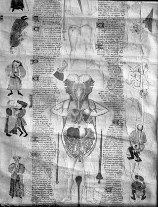 M0006432: Diagram of the thoracic system and contents of skull, from John of Arderne: <i>De arte phisicali de cirurgia</i> (1412)