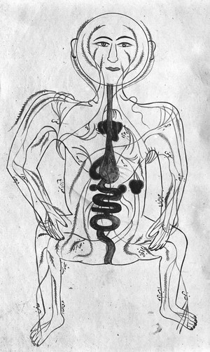 view Human figure showing arteries and viscera, Persian, 18th C