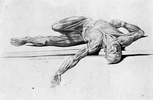 An écorché figure, lying supine on a slab, with its left arm extended. Stipple print by Lavalée after J. Gamelin, 1779.