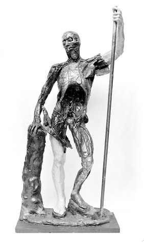 M0007283: Anatomical male figure modelled in wax, c.1760