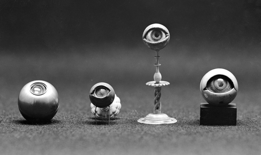 M0007413: Movable models of human eyes