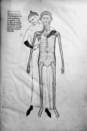 Guido de Vigevano, miniature anatomical figures, 1345