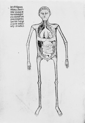 Anatomies de Mondino dei Luzzi et de Guido de Vigevano / [Mondino dei Luzzi].