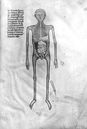 Guido de Vigevano, miniature anatomical figures, 1345