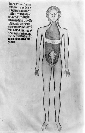 Guido de Vigevano, miniature anatomical figures, 1345