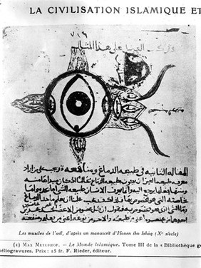 The muscles of the eye. From a manuscript D'Honen ABN/ Shag