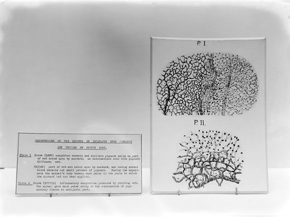 Philosophical transactions of the Royal Society of London.